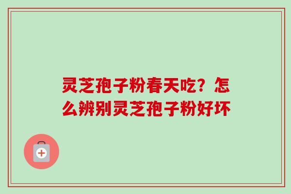灵芝孢子粉春天吃?怎么辨别灵芝孢子粉好坏-第1张图片-卓越灵芝孢子粉 灵芝孢子粉春天吃?怎么辨别灵芝孢子粉好坏-第1张图片-卓越灵芝孢子粉