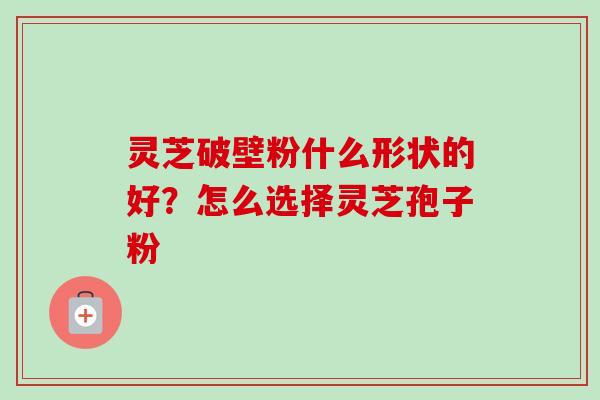 灵芝破壁粉什么形状的好?怎么选择灵芝孢子粉-第1张图片-卓越灵芝孢子粉 灵芝破壁粉什么形状的好?怎么选择灵芝孢子粉-第1张图片-卓越灵芝孢子粉