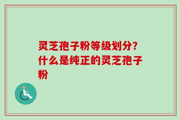 灵芝孢子粉等级划分?什么是纯正的灵芝孢子粉-第1张图片-卓越灵芝孢子粉 灵芝孢子粉等级划分?什么是纯正的灵芝孢子粉-第1张图片-卓越灵芝孢子粉