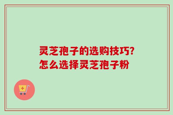 灵芝孢子的选购技巧？怎么选择灵芝孢子粉-第1张图片-卓越灵芝孢子粉