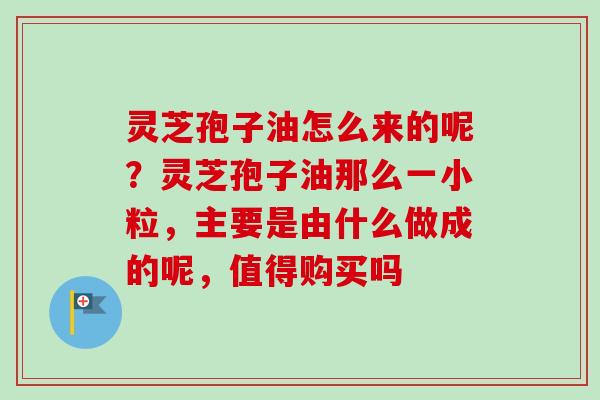 灵芝孢子油怎么来的呢?灵芝孢子油那么一小粒,主要是由什么做成的呢,值得购买吗-第1张图片-卓越灵芝孢子粉 灵芝孢子油怎么来的呢?灵芝孢子油那么一小粒,主要是由什么做成的呢,值得购买吗-第1张图片-卓越灵芝孢子粉