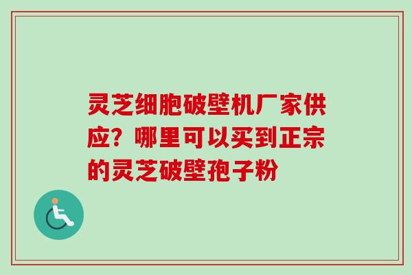 灵芝细胞破壁机厂家供应?哪里可以买到正宗的灵芝破壁孢子粉-第1张图片-卓越灵芝孢子粉 灵芝细胞破壁机厂家供应?哪里可以买到正宗的灵芝破壁孢子粉-第1张图片-卓越灵芝孢子粉