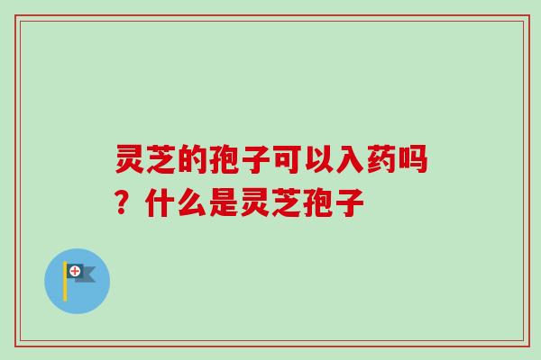 灵芝的孢子可以入药吗?什么是灵芝孢子-第1张图片-卓越灵芝孢子粉 灵芝的孢子可以入药吗?什么是灵芝孢子-第1张图片-卓越灵芝孢子粉