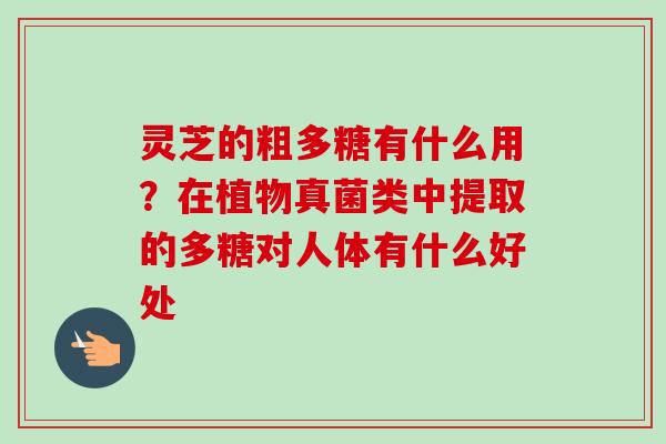 灵芝的粗多糖有什么用?在植物真菌类中提取的多糖对人体有什么好处-第1张图片-卓越灵芝孢子粉 灵芝的粗多糖有什么用?在植物真菌类中提取的多糖对人体有什么好处-第1张图片-卓越灵芝孢子粉