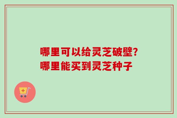 哪里可以给灵芝破壁?哪里能买到灵芝种子-第1张图片-卓越灵芝孢子粉 哪里可以给灵芝破壁?哪里能买到灵芝种子-第1张图片-卓越灵芝孢子粉