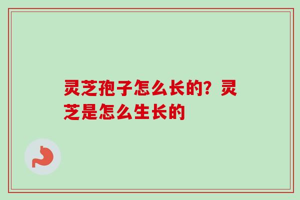 灵芝孢子怎么长的?灵芝是怎么生长的-第1张图片-卓越灵芝孢子粉 灵芝孢子怎么长的?灵芝是怎么生长的-第1张图片-卓越灵芝孢子粉
