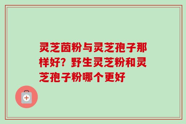 灵芝茵粉与灵芝孢子那样好?野生灵芝粉和灵芝孢子粉哪个更好-第1张图片-卓越灵芝孢子粉 灵芝茵粉与灵芝孢子那样好?野生灵芝粉和灵芝孢子粉哪个更好-第1张图片-卓越灵芝孢子粉
