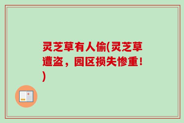 灵芝草有人偷(灵芝草遭盗,园区损失惨重!)-第1张图片-卓越灵芝孢子粉 灵芝草有人偷(灵芝草遭盗,园区损失惨重!)-第1张图片-卓越灵芝孢子粉