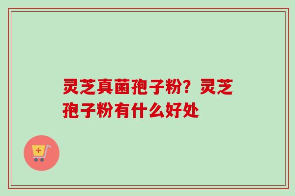灵芝真菌孢子粉?灵芝孢子粉有什么好处-第1张图片-卓越灵芝孢子粉 灵芝真菌孢子粉?灵芝孢子粉有什么好处-第1张图片-卓越灵芝孢子粉