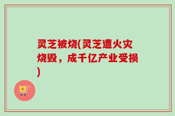 灵芝被烧(灵芝遭火灾烧毁,成千亿产业受损)-第1张图片-卓越灵芝孢子粉 灵芝被烧(灵芝遭火灾烧毁,成千亿产业受损)-第1张图片-卓越灵芝孢子粉