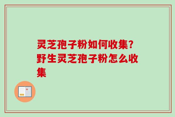 灵芝孢子粉如何收集？野生灵芝孢子粉怎么收集-第1张图片-卓越灵芝孢子粉