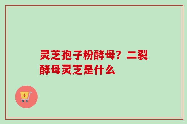 灵芝孢子粉酵母？二裂酵母灵芝是什么-第1张图片-卓越灵芝孢子粉