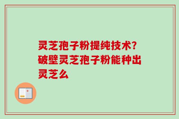灵芝孢子粉提纯技术?破壁灵芝孢子粉能种出灵芝么-第1张图片-卓越灵芝孢子粉 灵芝孢子粉提纯技术?破壁灵芝孢子粉能种出灵芝么-第1张图片-卓越灵芝孢子粉