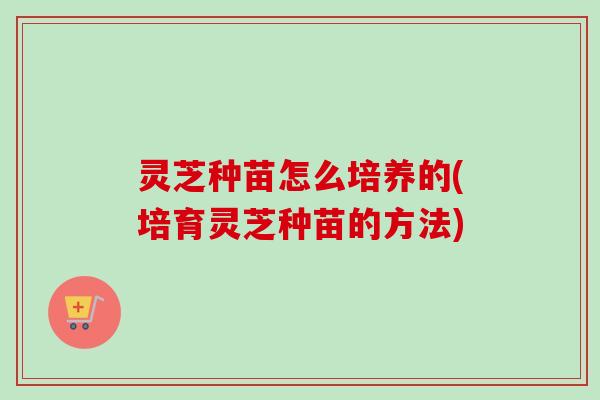 灵芝种苗怎么培养的(培育灵芝种苗的方法)-第1张图片-卓越灵芝孢子粉 灵芝种苗怎么培养的(培育灵芝种苗的方法)-第1张图片-卓越灵芝孢子粉