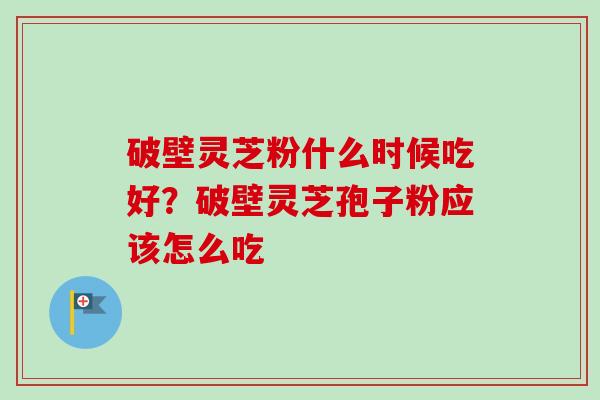 破壁灵芝粉什么时候吃好?破壁灵芝孢子粉应该怎么吃-第1张图片-卓越灵芝孢子粉 破壁灵芝粉什么时候吃好?破壁灵芝孢子粉应该怎么吃-第1张图片-卓越灵芝孢子粉