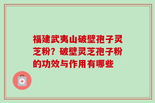 福建武夷山破壁孢子灵芝粉?破壁灵芝孢子粉的功效与作用有哪些-第1张图片-卓越灵芝孢子粉 福建武夷山破壁孢子灵芝粉?破壁灵芝孢子粉的功效与作用有哪些-第1张图片-卓越灵芝孢子粉