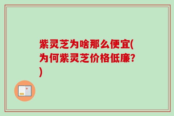 紫灵芝为啥那么便宜(为何紫灵芝价格低廉？)-第1张图片-卓越灵芝孢子粉