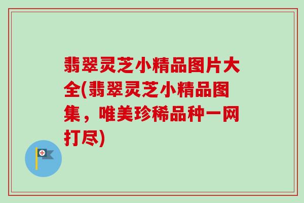 翡翠灵芝小精品图片大全(翡翠灵芝小精品图集,唯美珍稀品种一网打尽)-第1张图片-卓越灵芝孢子粉 翡翠灵芝小精品图片大全(翡翠灵芝小精品图集,唯美珍稀品种一网打尽)-第1张图片-卓越灵芝孢子粉