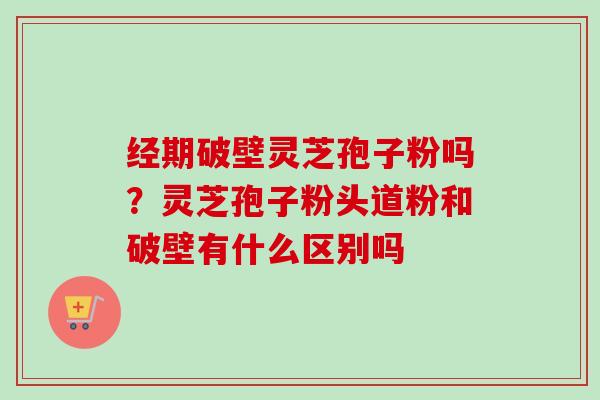 经期破壁灵芝孢子粉吗？灵芝孢子粉头道粉和破壁有什么区别吗-第1张图片-卓越灵芝孢子粉