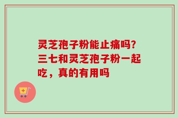 灵芝孢子粉能止痛吗?三七和灵芝孢子粉一起吃,真的有用吗-第1张图片-卓越灵芝孢子粉 灵芝孢子粉能止痛吗?三七和灵芝孢子粉一起吃,真的有用吗-第1张图片-卓越灵芝孢子粉