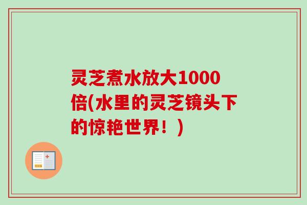 灵芝煮水放大1000倍(水里的灵芝镜头下的惊艳世界!)-第1张图片-卓越灵芝孢子粉 灵芝煮水放大1000倍(水里的灵芝镜头下的惊艳世界!)-第1张图片-卓越灵芝孢子粉