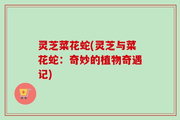 灵芝菜花蛇(灵芝与菜花蛇:奇妙的植物奇遇记)-第1张图片-卓越灵芝孢子粉 灵芝菜花蛇(灵芝与菜花蛇:奇妙的植物奇遇记)-第1张图片-卓越灵芝孢子粉