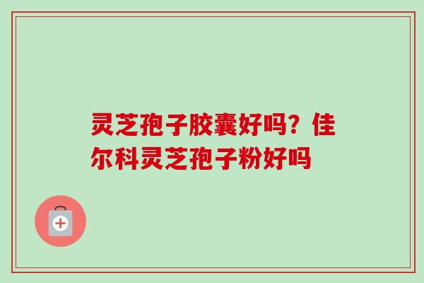 灵芝孢子胶囊好吗？佳尔科灵芝孢子粉好吗-第1张图片-卓越灵芝孢子粉