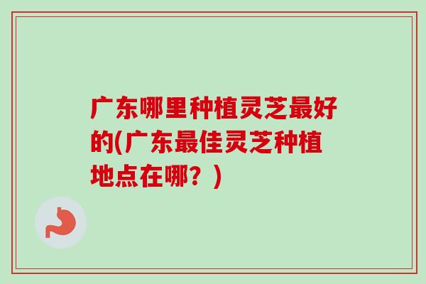 广东哪里种植灵芝最好的(广东最佳灵芝种植地点在哪？)-第1张图片-卓越灵芝孢子粉