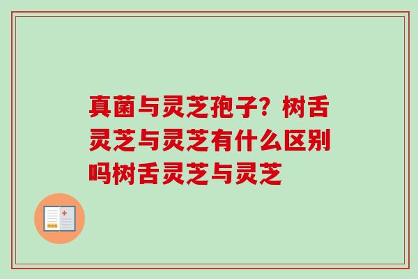 真菌与灵芝孢子?树舌灵芝与灵芝有什么区别吗树舌灵芝与灵芝-第1张图片-卓越灵芝孢子粉 真菌与灵芝孢子?树舌灵芝与灵芝有什么区别吗树舌灵芝与灵芝-第1张图片-卓越灵芝孢子粉