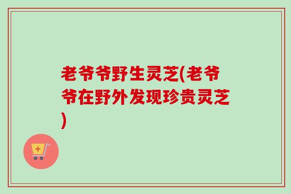 老爷爷野生灵芝(老爷爷在野外发现珍贵灵芝)-第1张图片-卓越灵芝孢子粉 老爷爷野生灵芝(老爷爷在野外发现珍贵灵芝)-第1张图片-卓越灵芝孢子粉