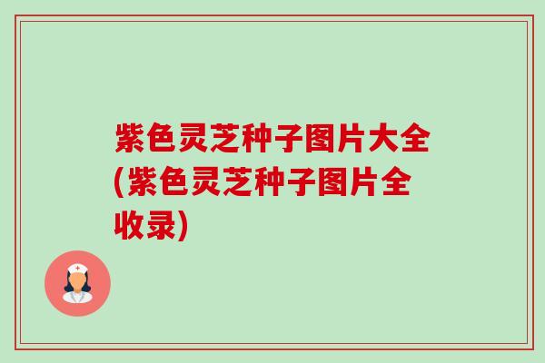 紫色灵芝种子图片大全(紫色灵芝种子图片全收录)-第1张图片-卓越灵芝孢子粉 紫色灵芝种子图片大全(紫色灵芝种子图片全收录)-第1张图片-卓越灵芝孢子粉