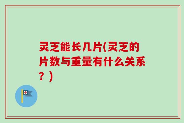 灵芝能长几片(灵芝的片数与重量有什么关系?)-第1张图片-卓越灵芝孢子粉 灵芝能长几片(灵芝的片数与重量有什么关系?)-第1张图片-卓越灵芝孢子粉