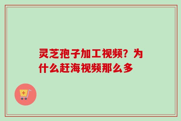 灵芝孢子加工视频?为什么赶海视频那么多-第1张图片-卓越灵芝孢子粉 灵芝孢子加工视频?为什么赶海视频那么多-第1张图片-卓越灵芝孢子粉