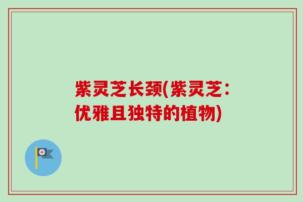 紫灵芝长颈(紫灵芝:优雅且独特的植物)-第1张图片-卓越灵芝孢子粉 紫灵芝长颈(紫灵芝:优雅且独特的植物)-第1张图片-卓越灵芝孢子粉