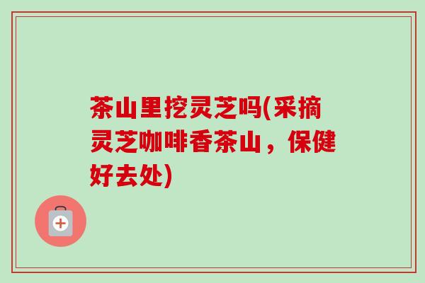 茶山里挖灵芝吗(采摘灵芝咖啡香茶山,保健好去处)-第1张图片-卓越灵芝孢子粉 茶山里挖灵芝吗(采摘灵芝咖啡香茶山,保健好去处)-第1张图片-卓越灵芝孢子粉