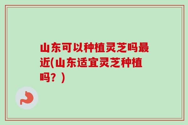 山东可以种植灵芝吗最近(山东适宜灵芝种植吗?)-第1张图片-卓越灵芝孢子粉 山东可以种植灵芝吗最近(山东适宜灵芝种植吗?)-第1张图片-卓越灵芝孢子粉