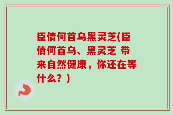 臣倩何首乌黑灵芝(臣倩何首乌、黑灵芝 带来自然健康，你还在等什么？)-第1张图片-卓越灵芝孢子粉
