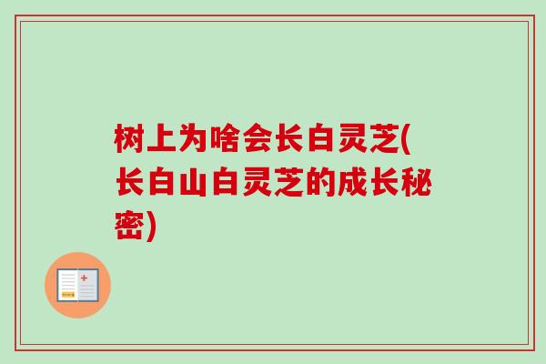 树上为啥会长白灵芝(长白山白灵芝的成长秘密)-第1张图片-卓越灵芝孢子粉 树上为啥会长白灵芝(长白山白灵芝的成长秘密)-第1张图片-卓越灵芝孢子粉