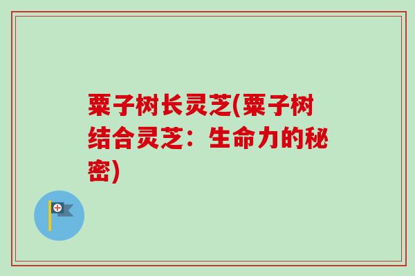 粟子树长灵芝(粟子树结合灵芝：生命力的秘密)-第1张图片-卓越灵芝孢子粉