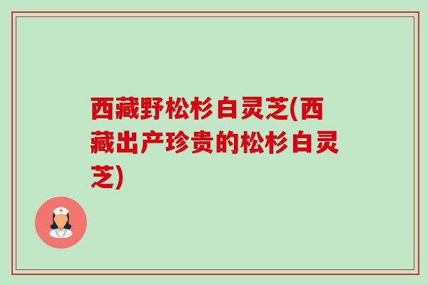 西藏野松杉白灵芝(西藏出产珍贵的松杉白灵芝)-第1张图片-卓越灵芝孢子粉 西藏野松杉白灵芝(西藏出产珍贵的松杉白灵芝)-第1张图片-卓越灵芝孢子粉