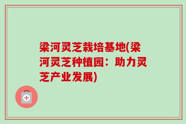 梁河灵芝栽培基地(梁河灵芝种植园：助力灵芝产业发展)-第1张图片-卓越灵芝孢子粉