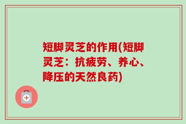 短脚灵芝的作用(短脚灵芝:抗疲劳、养心、降压的天然良药)-第1张图片-卓越灵芝孢子粉 短脚灵芝的作用(短脚灵芝:抗疲劳、养心、降压的天然良药)-第1张图片-卓越灵芝孢子粉