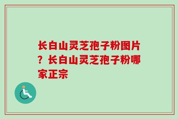 长白山灵芝孢子粉图片？长白山灵芝孢子粉哪家正宗-第1张图片-卓越灵芝孢子粉