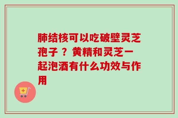 肺结核可以吃破壁灵芝孢子 ？黄精和灵芝一起泡酒有什么功效与作用-第1张图片-卓越灵芝孢子粉