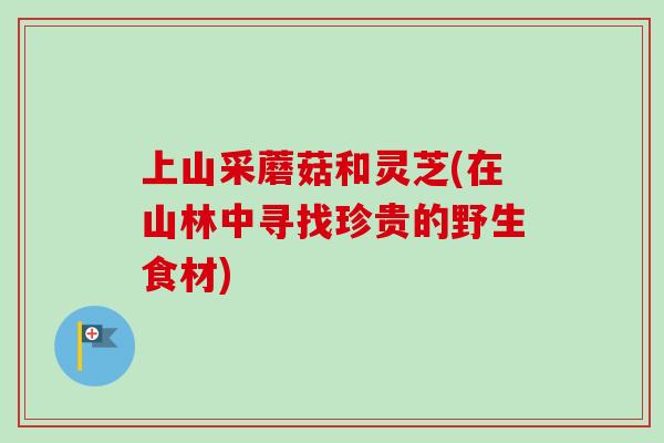 上山采蘑菇和灵芝(在山林中寻找珍贵的野生食材)-第1张图片-卓越灵芝孢子粉 上山采蘑菇和灵芝(在山林中寻找珍贵的野生食材)-第1张图片-卓越灵芝孢子粉