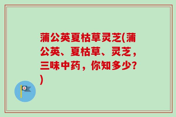 蒲公英夏枯草灵芝(蒲公英、夏枯草、灵芝,三味中药,你知多少?)-第1张图片-卓越灵芝孢子粉 蒲公英夏枯草灵芝(蒲公英、夏枯草、灵芝,三味中药,你知多少?)-第1张图片-卓越灵芝孢子粉