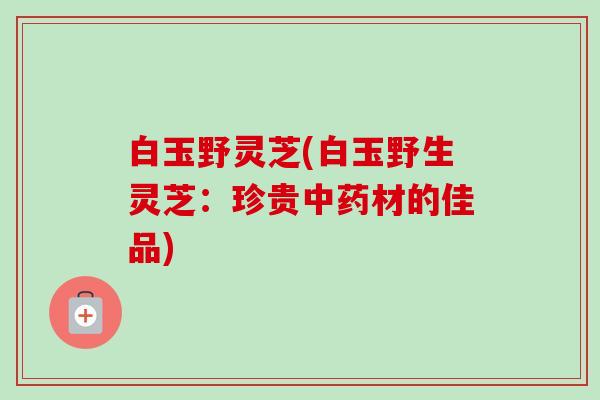 白玉野灵芝(白玉野生灵芝:珍贵中药材的佳品)-第1张图片-卓越灵芝孢子粉 白玉野灵芝(白玉野生灵芝:珍贵中药材的佳品)-第1张图片-卓越灵芝孢子粉