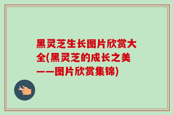 黑灵芝生长图片欣赏大全(黑灵芝的成长之美——图片欣赏集锦)-第1张图片-卓越灵芝孢子粉 黑灵芝生长图片欣赏大全(黑灵芝的成长之美——图片欣赏集锦)-第1张图片-卓越灵芝孢子粉