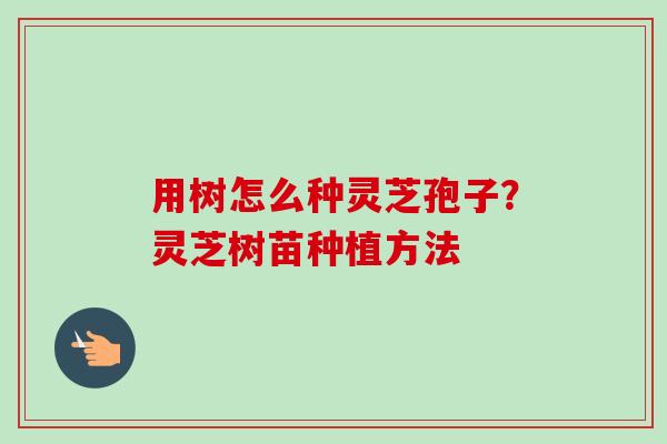 用树怎么种灵芝孢子?灵芝树苗种植方法-第1张图片-卓越灵芝孢子粉 用树怎么种灵芝孢子?灵芝树苗种植方法-第1张图片-卓越灵芝孢子粉