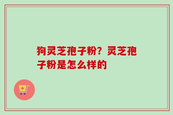 狗灵芝孢子粉?灵芝孢子粉是怎么样的-第1张图片-卓越灵芝孢子粉 狗灵芝孢子粉?灵芝孢子粉是怎么样的-第1张图片-卓越灵芝孢子粉